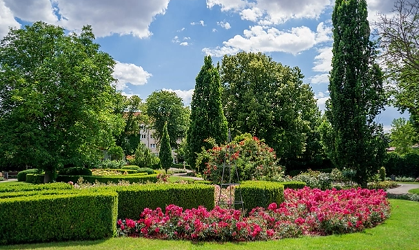 Der Rosengarten in voller Blüte (Foto: KTL)