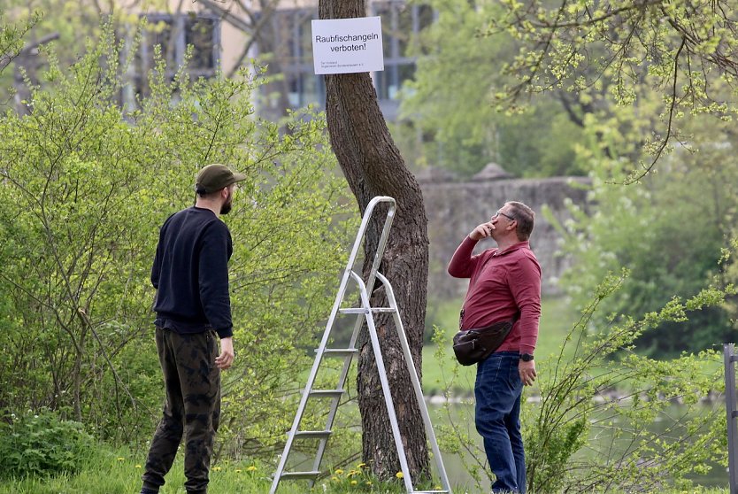 Mitglieder des Anglervereins Sondershausen bringen Warnschilder am großen Parktteich im Schlosspark Sondershausen an (Foto: Eva Maria Wiegand)