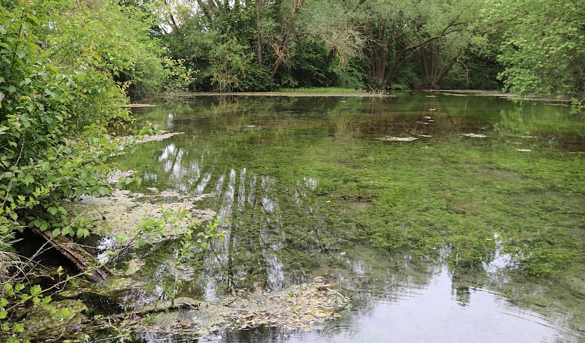 Antworte auf Fragen zur Gispkarstlandschaft (Foto: Silke Staubitz)