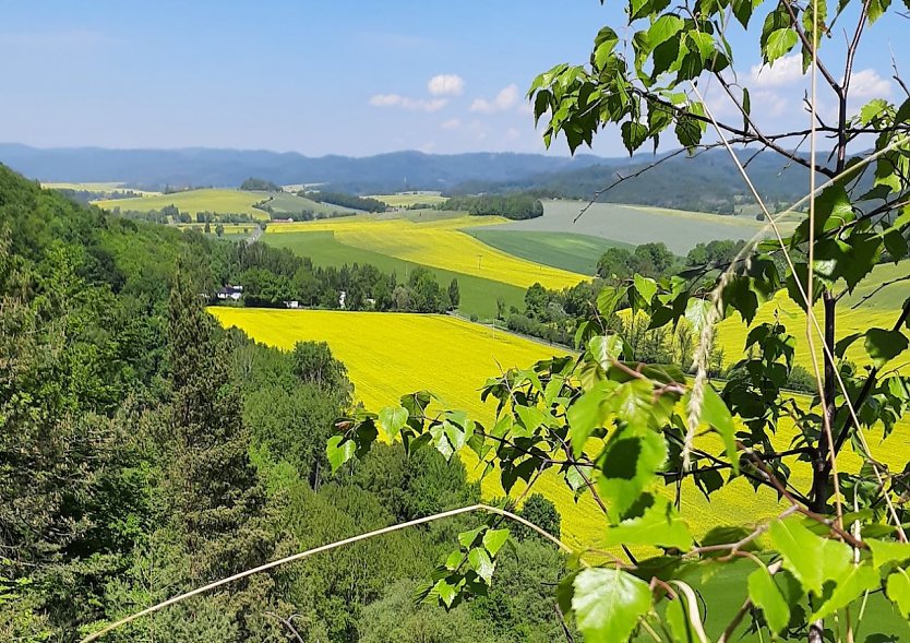 Wanderung am Wochenende am Mühlberg (Foto: Naturparke)