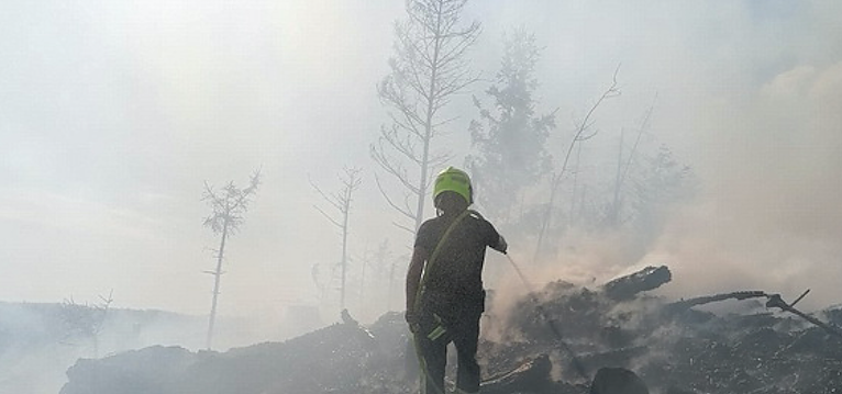 Waldbrand im Birkenmoor (Foto: Fotos: Freiwillige Niedersachswerfen , Freiwillige Feuerwehr Ilfeld/Wiegersdorf / Silvio Dietzel)