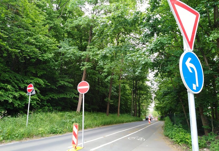 Die AFD fordert einen nachvollziehbaren Straßenzustandsbericht und einen Sanierungsplan bis 2035. (Foto: J.Prophet)