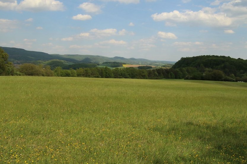 Wetterbild (Foto: agl)