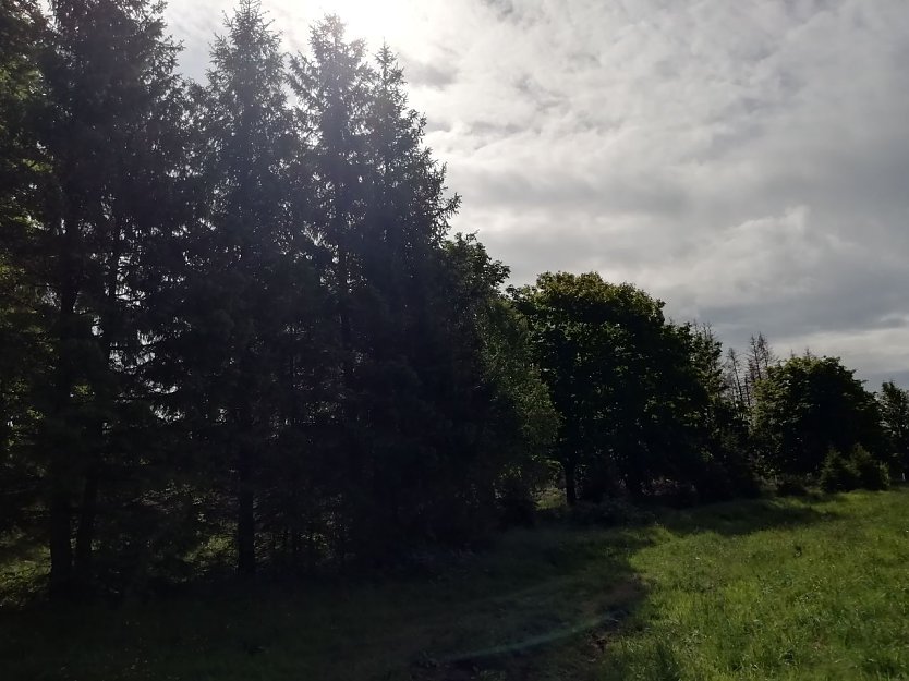 Wolkenverhangen aber schön - das Wetter heute morgen in Sophienhof (Foto: W. Jörgens)