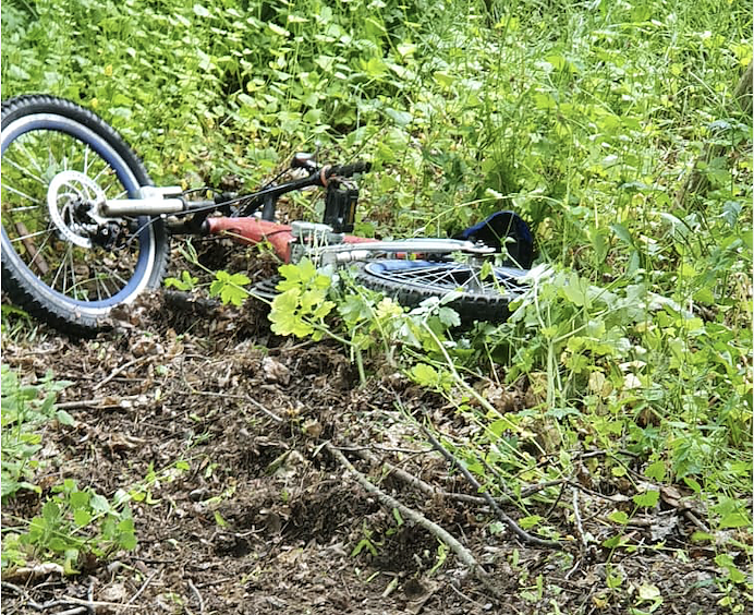 Fahrrad-Fund im Stadtpark (Foto: privat)