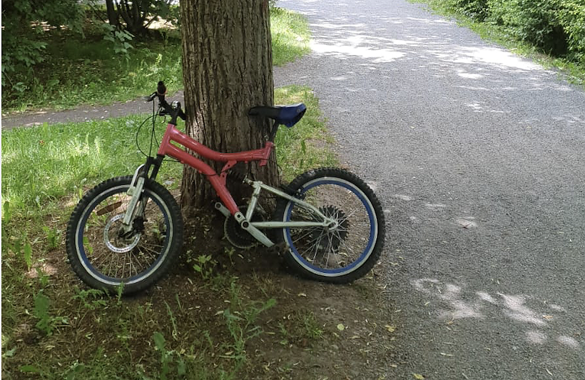 Fahrrad-Fund im Stadtpark (Foto: privat)