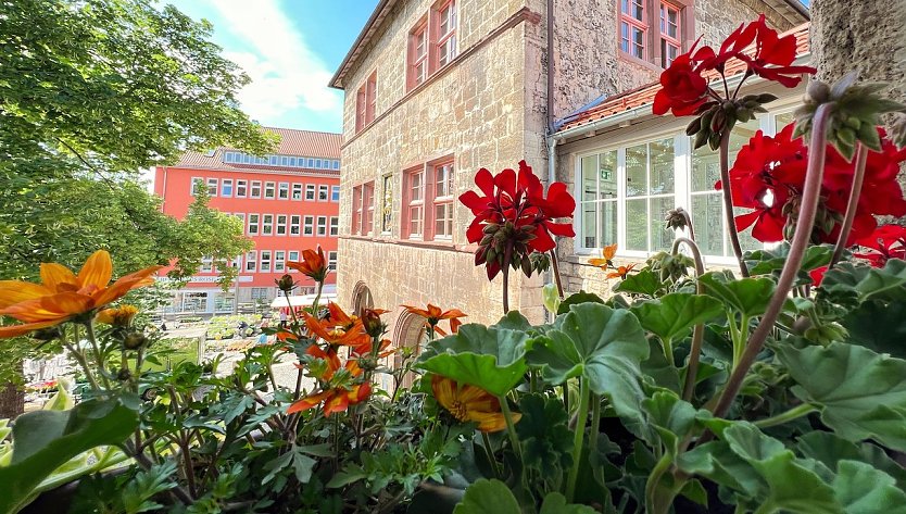 Blumenschmuck an den Rathausfenstern (Foto: Stadtverwaltung Nordhausen)