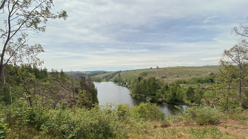 Der gleiche Ort zwei Jahre später, Blick auf das Vorbecken der Rappbodetalsperre (Foto: privat)