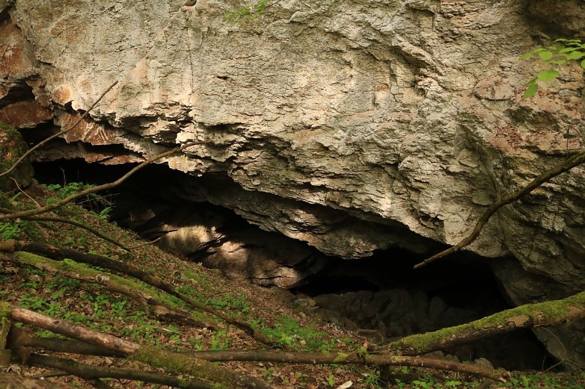 Auch von außen einen Blick wert: die Heimkehle (Foto: Biosphärenreservat Karstlandschaft Südharz)