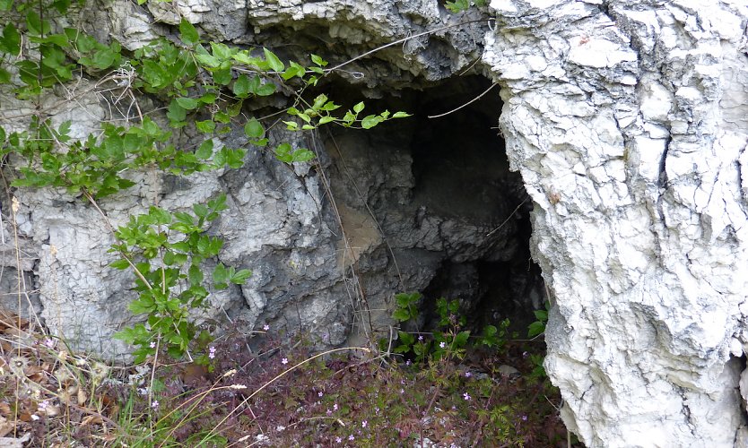 Der wieder aufgefundene Eingang der Ziegenhöhle  (Foto: Silvia Schäfer)