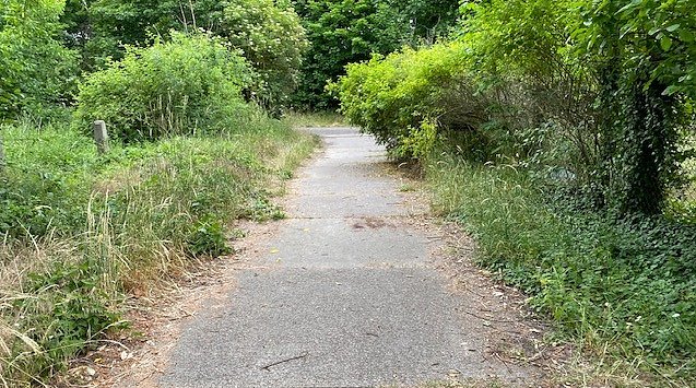 Hoppelweg in Buschlandschaft: Nordhauen-Niedersalza (Foto: Barbara Hopp)