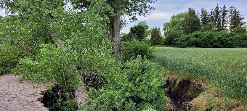 Erdrutsch zwischen Bottendorf und Donndorf (Foto: S. Dietzel)