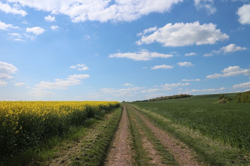 Wetterbild (Foto: agl)