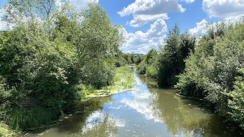 Sommer pur in den nächsten Tagen (Foto: oas)