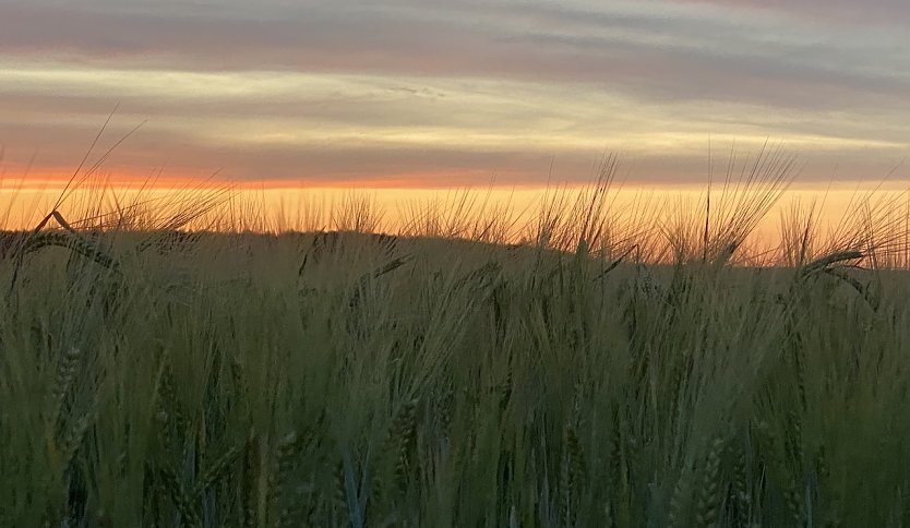 Wechselhaftes Wetter bestimmt das Wochenende (Foto: oas)