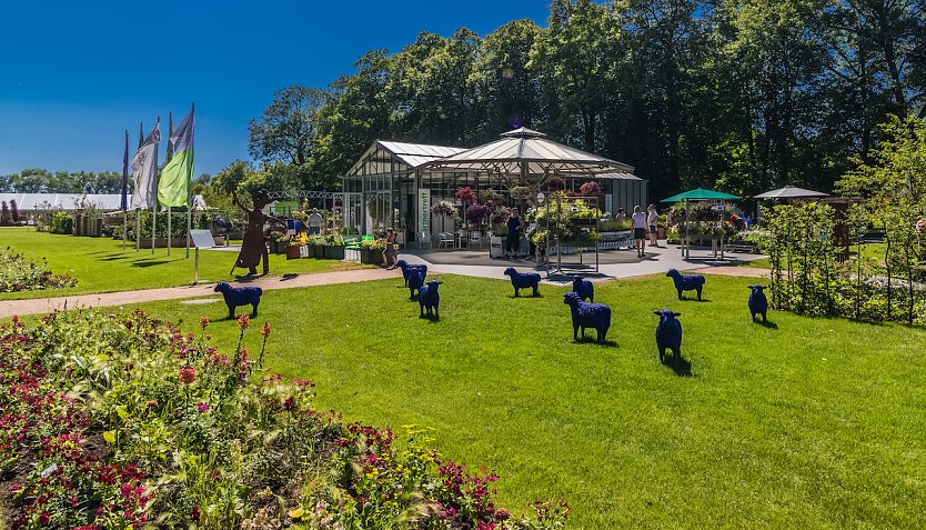 Gärtnermarkt auf der Landesgartenschau 2017 in Apolda (Foto: Fachverband Garten-, Landschafts- und Sportplatzbau Hessen-Thüringen)