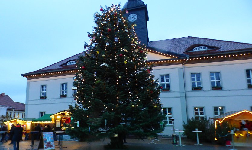 Bad Frankenhausen sucht einen Weihnachtsbaum (Foto: Stadtverwaltung Bad Frankenhausen (Archiv))