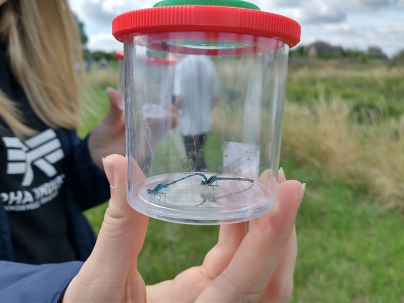 Entlang der Helme ließ sich manches kleine Naturwunder entdecken (Foto: Landschaftspflegeverband Südharz/Kyffhäuser)