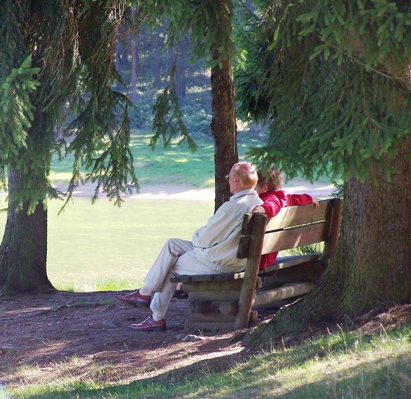 Bei extremer Sommerhitze sollten insbesondere Senioren und Kinder im Wald verweilen und die ausgeglichenen Temperaturen genießen (Foto: Dr. Horst Sproßmann)