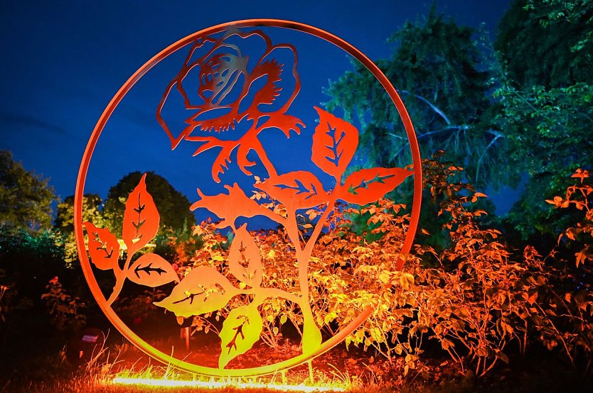 Rose trifft Kunst - die Ausstellung im Rosarium endet am 20. August (Foto: Europa-Rosarium)