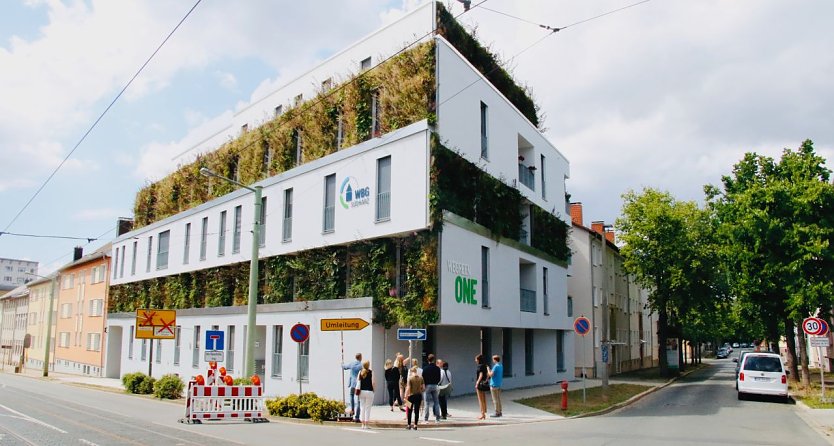 Miniterieller Besuch am "Green One" (Foto: agl)