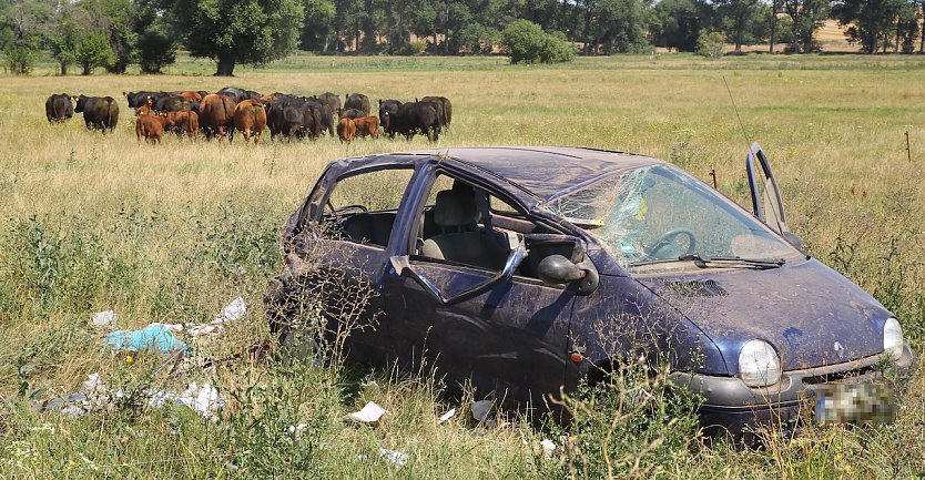 Unfall heute Mittag bei Wolkramshausen (Foto: S.Dietezl)