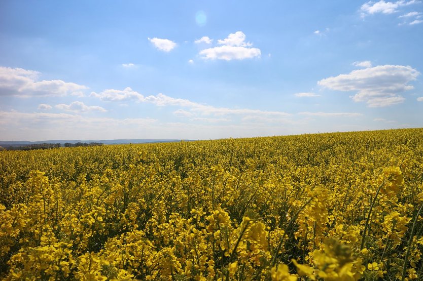 Wetterbild (Foto: agl)