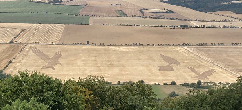 Die ersten Konturen wurden nach den Vermessungsarbeiten bereits in den Boden gefräst (Foto: Heiko Kolbe)