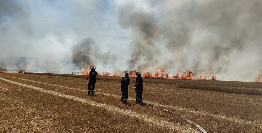 Feldbrand an der Kreisgrenze zum Kyffhäuserkreis (Foto: Feuerwehr Obermehler/Feuerwehr Ebeleben/Silvio Dietzel)