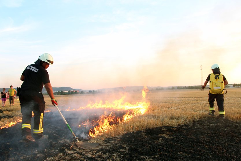 Feuerwehr probt für Feld- und Waldbrände (Foto: Feuerwehr Heiligenstadt)