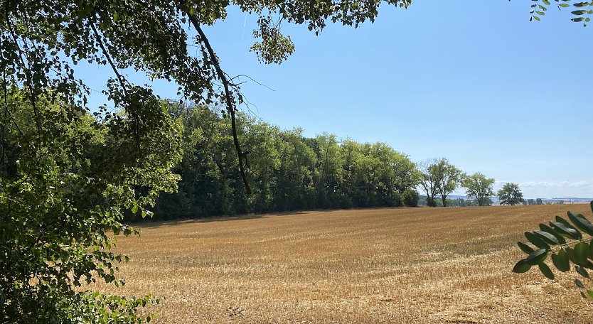 Sehr freundliches Sommerwetter bliebt bestehen (Foto: oas)