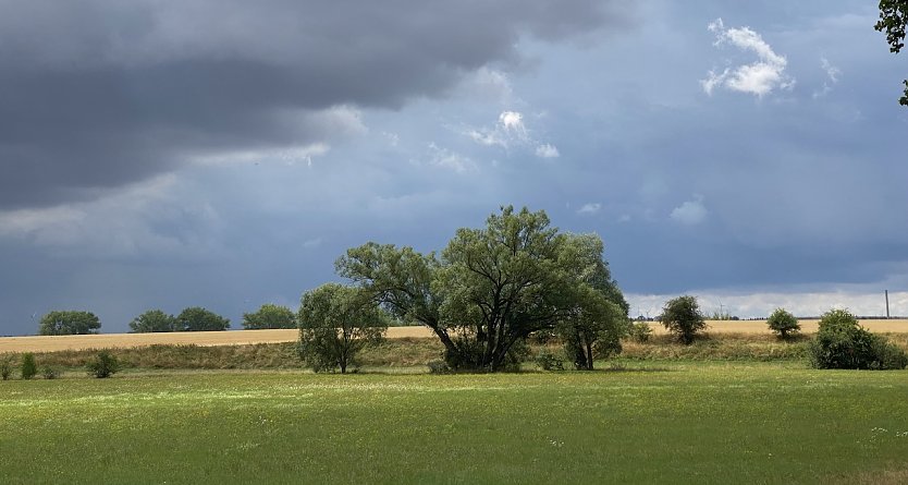 Ab Donnerstag wieder Schauer möglich (Foto: oas)