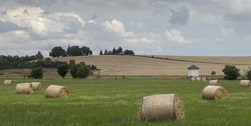 Feld bei Merxleben (Foto: oas)