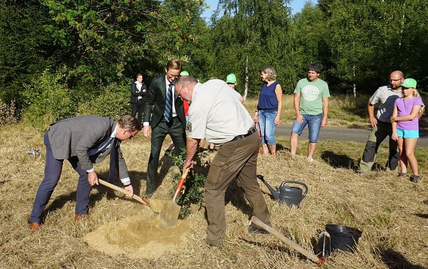 MP Bodo Ramelow (re.), Marc Fielmann (FIELMANN AG) und Volker Gebhardt (ThüringenForst-AöR) bei der Pflanzung einer Stieleiche im Dreiländereck Thüringen, Niedersachsen und Sachsen-Anhalt (Foto: Katharina Reffelt)