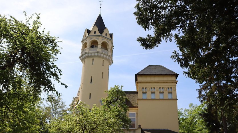 Immer freitags günstig in die Nordhäuser Museen  (Foto: Stadtverwaltung Nordhausen )