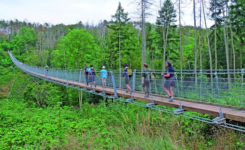 Teilnehmende auf der Hängeseilbrücke in der Hohe Schrecke (Foto: Hans Schönewolf)