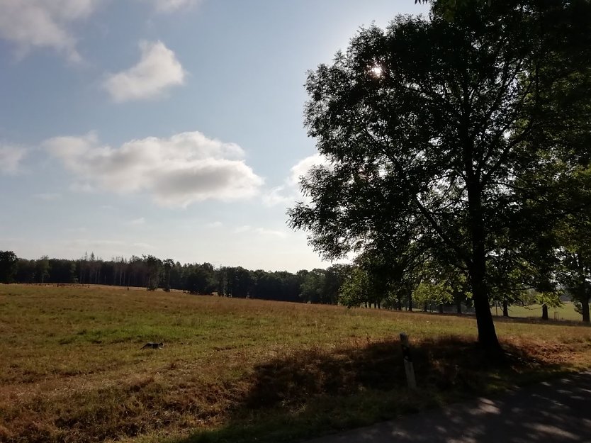 Mit 14 Grad war es in Sophienhof heute morgen recht frisch, aber freundlich (Foto: W. Jörgens)