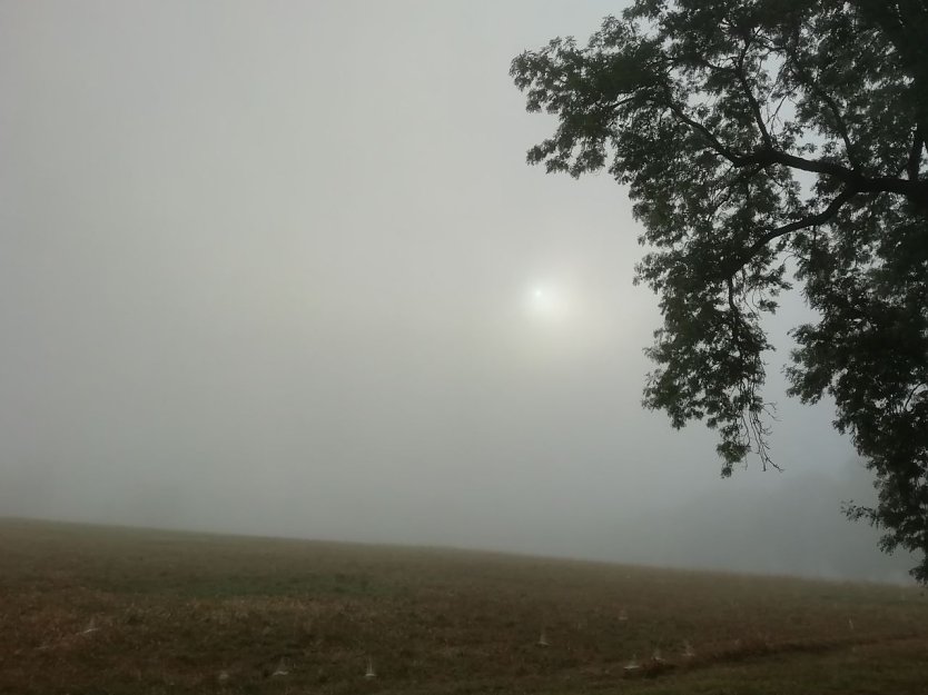 In Sophienhof mutete das Firmament heute morgen schon beinahe herbstlich an (Foto: W. Jörgens)