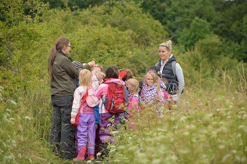 Im FÖJ unterwegs im Nationalpark (Foto: Nationalpark Hainich)