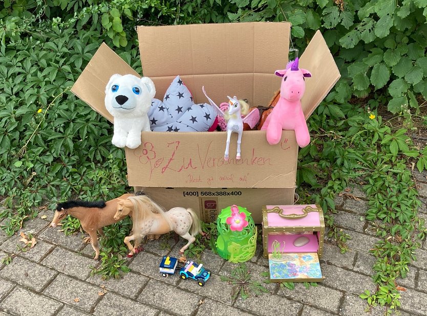 Spielzeug in der Kiste (Foto: privat)
