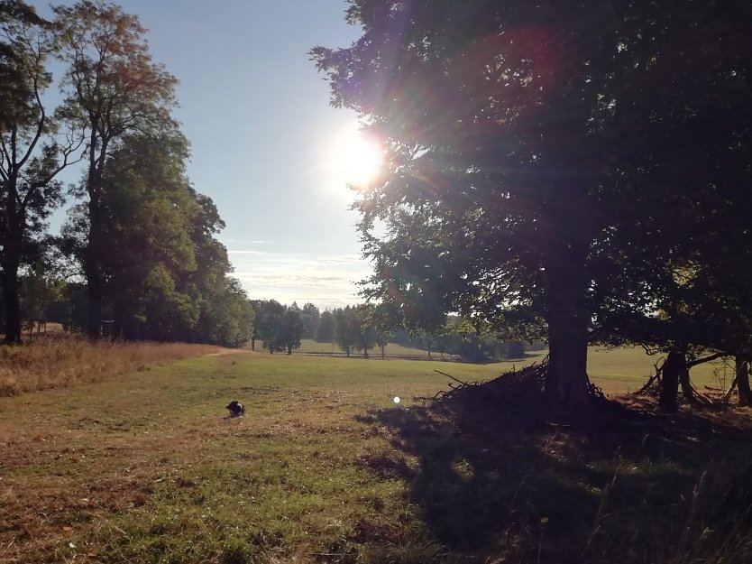 In Sophienhof zeigte sich heute morgen noch einmal der Sommer von seiner schönsten Seite (Foto: W. Jörgens)