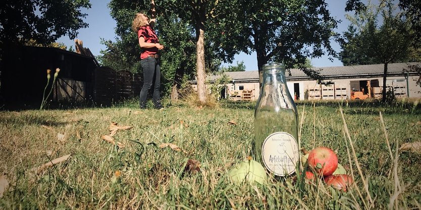 Mit dem Herbst kommt auch die Zeit der Apfelernte. Die Bäume haben allerdings mit der Trockenheit zu kämpfen (Foto: agl)