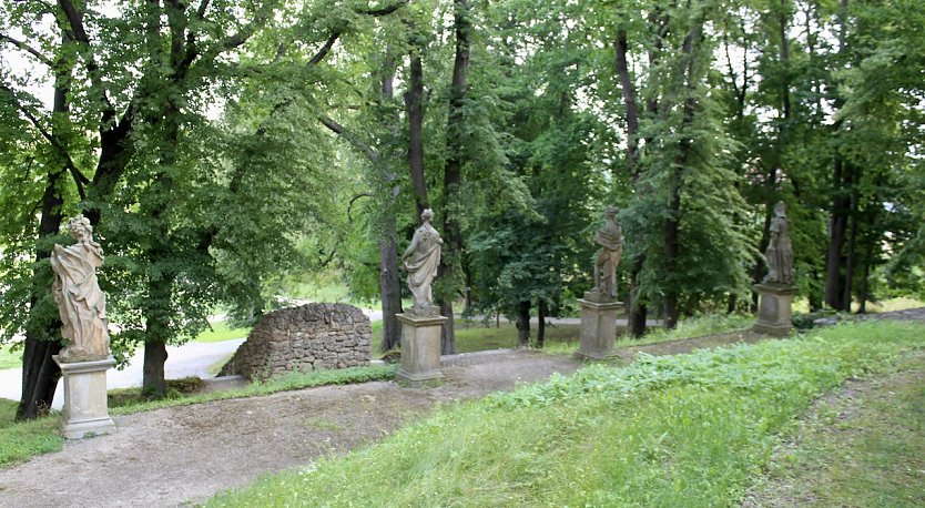 Schlosspark Ebeleben (Foto: Eva Maria Wiegand)