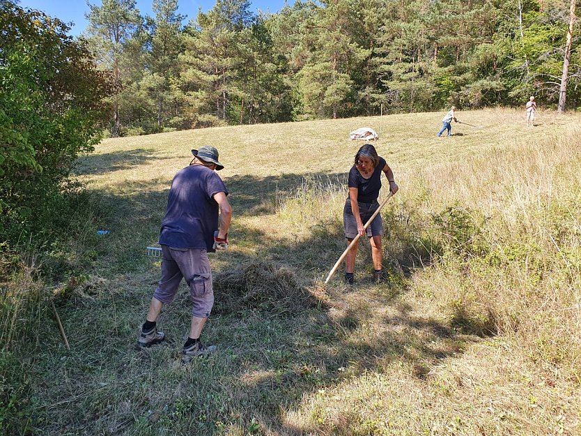 Acht Aktive widmeten sich der Mahd einer artenreichen Wiese bei Bleicherode. (Foto: Bodo Schwarzberg)