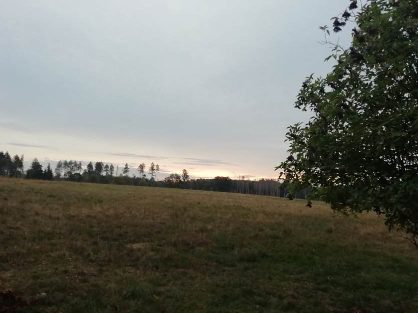 Ein wolkenverhangener Morgen begrüßte heute die Menschen im Südharz (Foto: W. Jörgens)