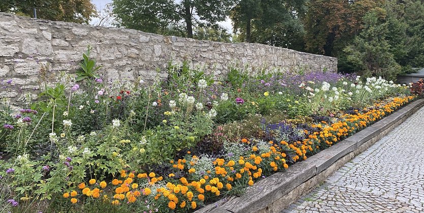 Im Arboretum Bad Langensalza (Foto: oas)