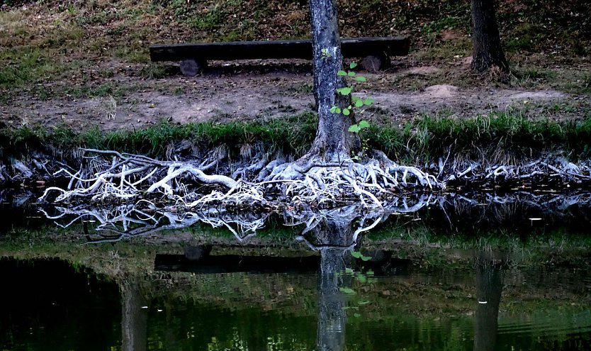 Unterwegs in Urbach (Foto: P.Blei)