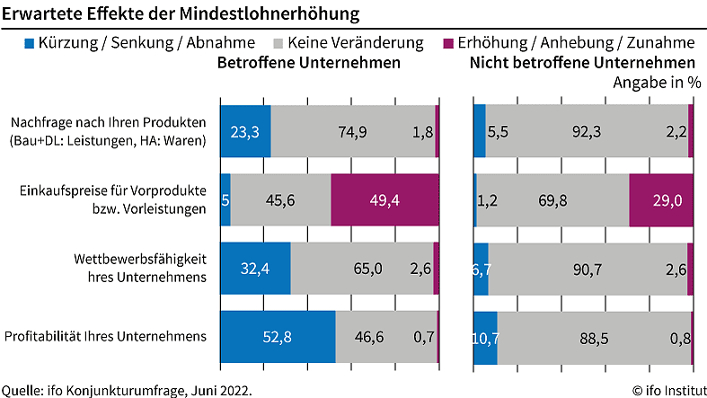 Grafik Befragung (Foto: ifo)