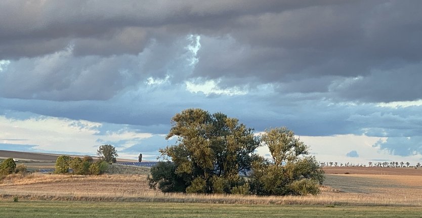 Es bleibt auch morgen regnerisch (Foto: oas)