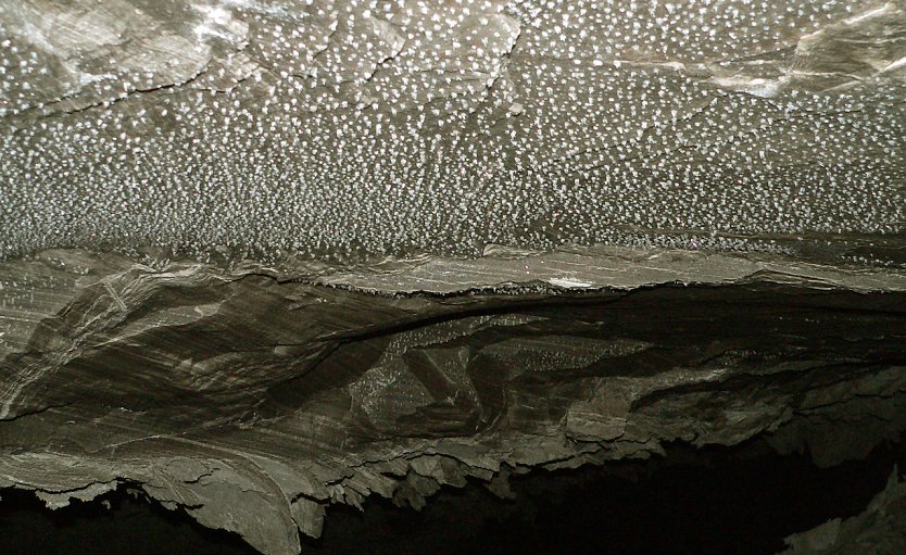 Kristalldecke in der Barbarossahöhle (Archiv) (Foto: Nationalen GeoPark Kyffhäuser - Anke Schreier)